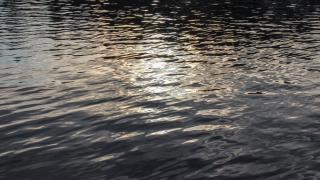 Järviveden pinta ilta-auringossa.