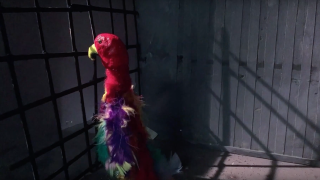 Animaatioelokuvan ruutukaappaus, jossa kirjava papukaija seisoo harmaassa tilassa kaltereiden takana.
