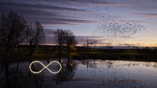 Meri Ekola: Infinity
