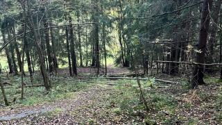 Kaivokselan kuntoportaat rakennetaan metsäiseen rinteeseen Kaivospuistossa..