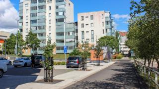 Martilaaksossa parkkipaikkaa reunustavat puut on suojattu metallikehikoilla.