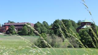 Maatilan navetta ja mylly, etualalla heiniä.