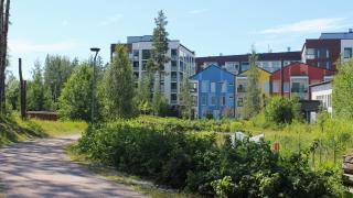 Viljelypalsta ja kerrostaloja Kivistössä. 