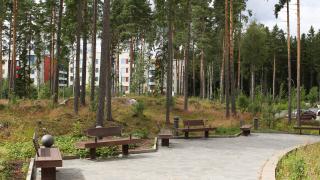 Puisia penkkejä Kukkukallion puistossa Leinelässä.
