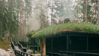 Kuusijärven savusauna Havu. 