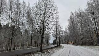 Huureteisia katupuita on talvisessa katumaisemassa.