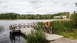 Lammaslampi, rantaa ja laituri.