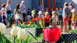 Siimapuiston päiväkodin lapset leikkivät kasvisaiheista laululeikkiä päiväkodin puutarhassa.