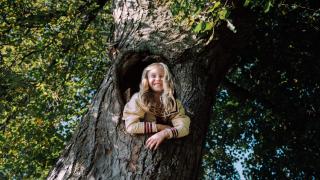 Lapsi kurkistaa vanhan puunrungon sisältä.