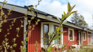 Punainen omakotitalo oksien takana.