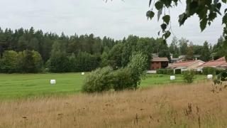 Havukoskella sijaitsevan Piippilakin maalaismaisemaan kaavoitetaan uusia asuintaloja.