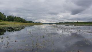 Pitkäjärvi