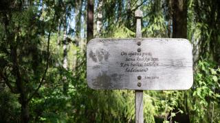 Koivuhaan arboretumin puiseen kylttiin on painettu Eino Leinon runo "Luonnon laki".