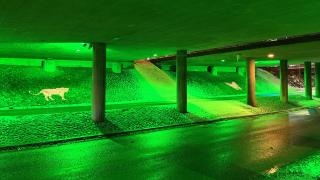 Rälssitien alikulkuun on luotu valaistuksella vihreä mielikuvitusmetsä.