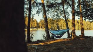 Riippumatto Kuusijärvellä