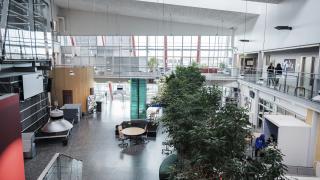 Lumon lukion viihtyisä aula