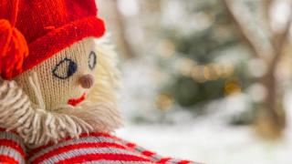 Tonttunukke katsoo ikkunasta ulos valaistua puuta.