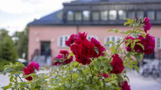 Hämeenkylän kartano