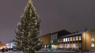 Kaupungintalo ja joulukuusi