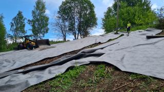 Simonkylässä on aloitettu kokeilu, jossa katekankaalla yritetään tukahduttaa haitallinen vieraskasvilaji jättitatar.