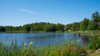 Lammaslampi Pähkinärinteessä