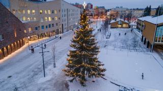 Kaupungin joulukuusi Tikkurilassa kirkon ja kaupungintalon välissä.