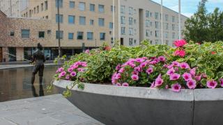 Suvivirsi-tapahtumassa aiempaa useampia esiintyjiä Vantaan juhlavuoden kunniaksi.