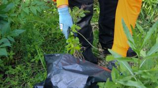 Purotalkkari laittamassa kitkentäjätettä muovipussiin.