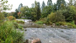 Tikkurilankoski ja taustalla purettu pato.