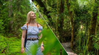 Waipouan vetonauloja ovat Tāne Mahuta ja Te Matua Ngahere, Sipoonkorpi puolestaan on jo itsessään Etelä-Suomen metsäisin metsä.