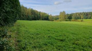 Polku niityn reunassa Vehkalan ja Petikon välillä.