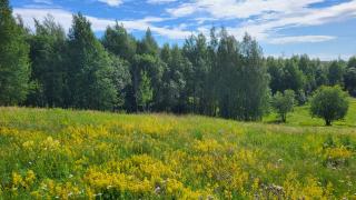 Metsää ja niittymaisemaa Vehkalanmäellä.