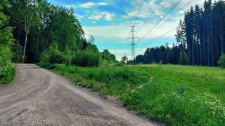 Nykyinen ulkoilureitti Silvolanmetsän alueella on kivituhkapintainen.