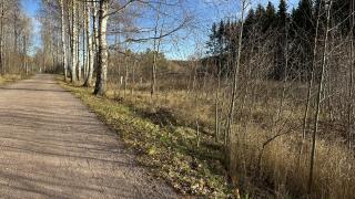 Ylästönrannassa on nykyisin kivituhkapintainen ulkoilureitti.