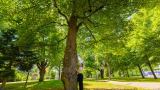 Nainen puun juurella puistossa. 