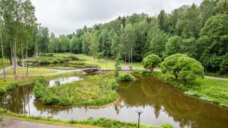 ankkapuisto.