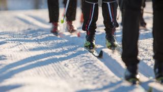 hiihtäjät ladulla.