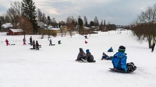 lapset pulkkamäessä.