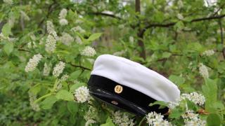 Ylioppilaslakki tuomen oksalla.