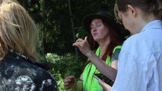 Luonto-opas Mari Kajasvirta esittelemässä nokkosen kukkia retkiryhmälle. Etualalla on kaksi retkeilijää selät kameraan päin.