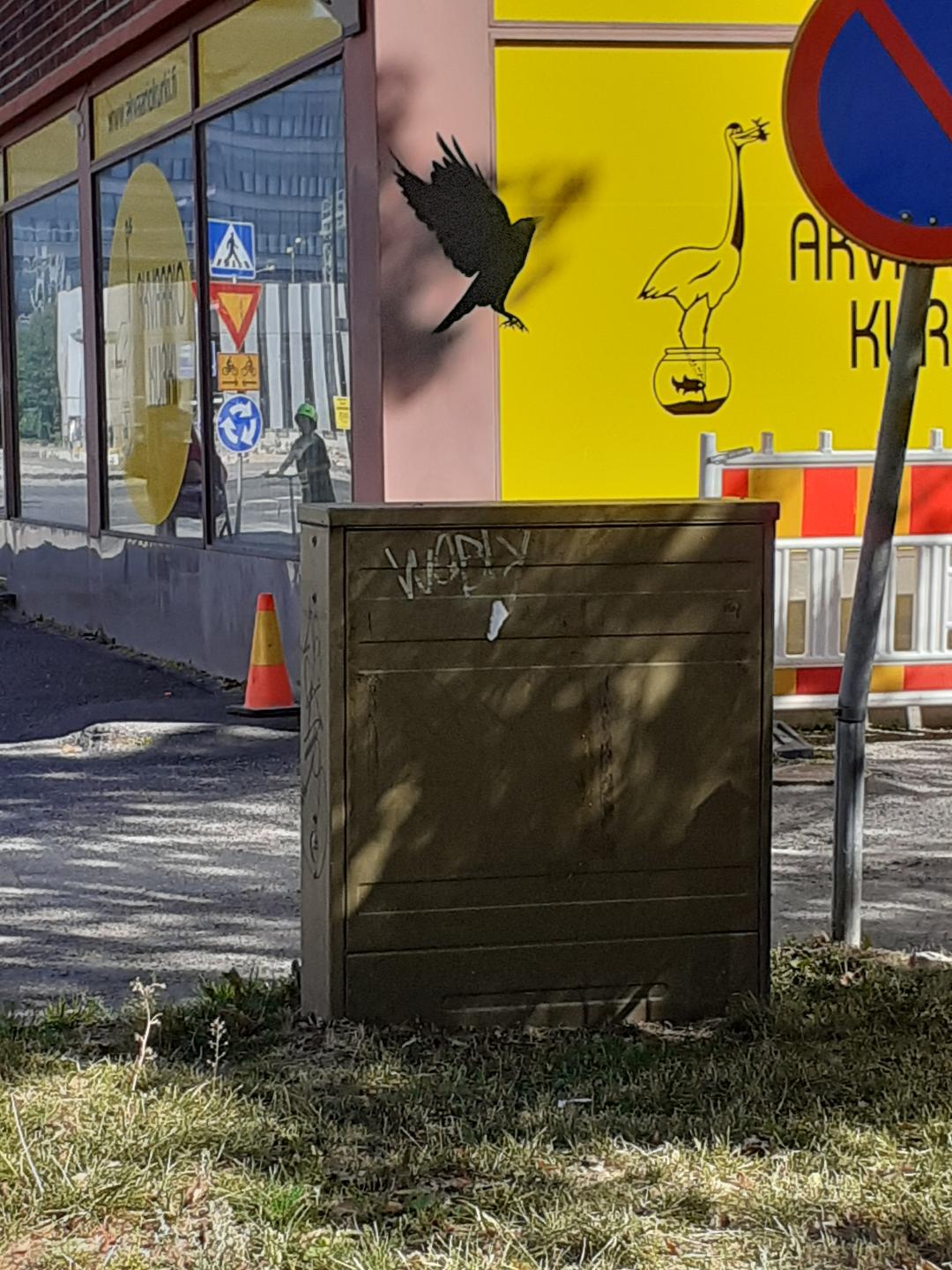 Sara Armahin kuva naakasta