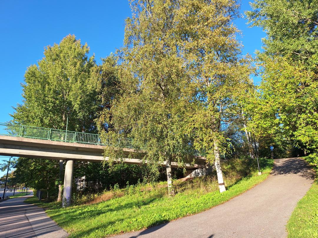 Suunnittelualue Raappavuorentieltä kuvattuna.
