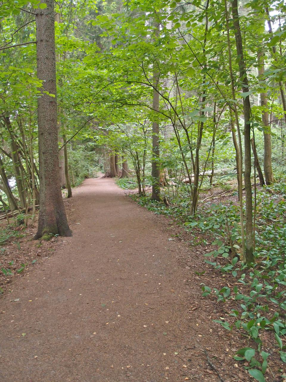 Pitkäkosken luonnonsuojelualueella on leveä polku Vantaanjoen varrella.