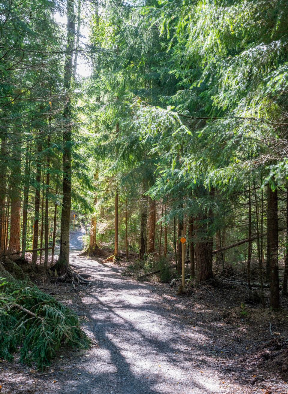 Sipoonkorven kansallispuistossa on luontopolkuja. 