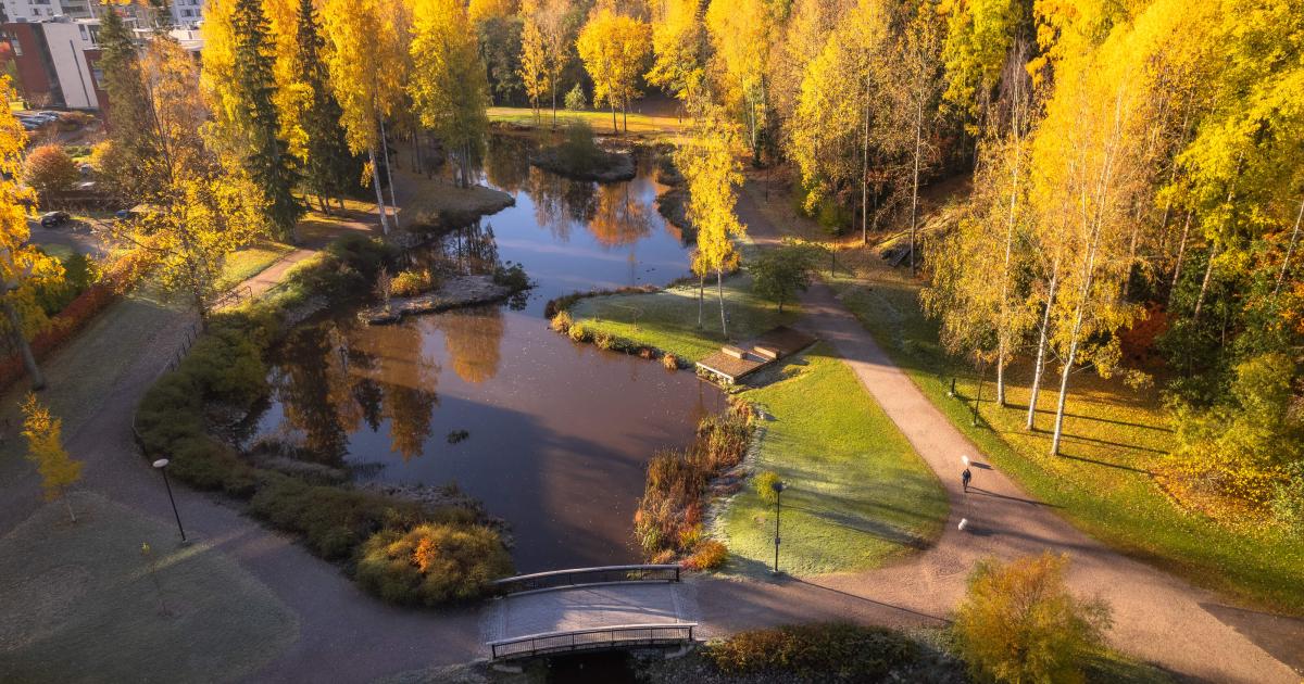 Ankkapuisto Vantaa ankkapuisto-vantaa